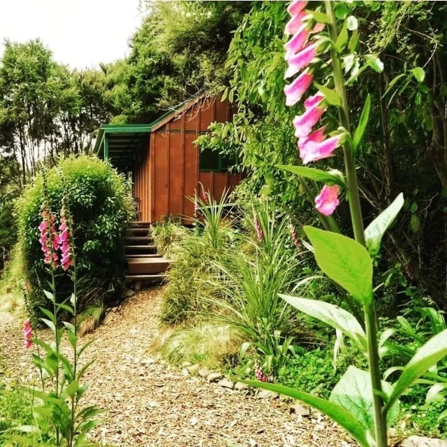 Little River Cottage